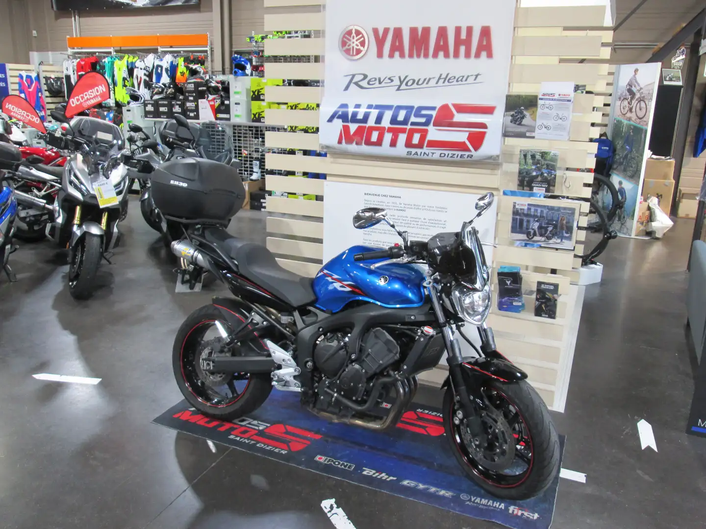 Yamaha FZ 6 Bleu - 1