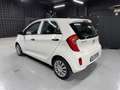 Kia Picanto Picanto 1.0 Easy 5p CarPlay Neopatentati Bianco - thumbnail 6