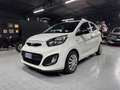 Kia Picanto Picanto 1.0 Easy 5p CarPlay Neopatentati Bianco - thumbnail 2