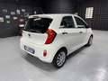 Kia Picanto Picanto 1.0 Easy 5p CarPlay Neopatentati Bianco - thumbnail 7