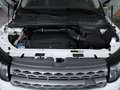 Land Rover Range Rover Evoque TD4/TOPZUSTAND/U-FREI ! Blanc - thumbnail 8