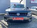 Volkswagen Tiguan IQ.DRIVE ACC/ SHZ/ CarPlay/ AHK Grau - thumbnail 17