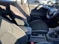 Ford Focus Focus SW SW 1.5 ecoblue Business 120cv Argento - thumbnail 14