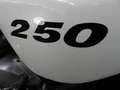 Kawasaki Z250 Weiß - thumbnail 6