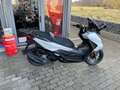 Honda Forza 125 Neufahrzeug auf Lager Weiß - thumbnail 3