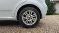 Fiat Punto 1.2 69 Steel Blanc - thumbnail 19