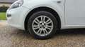 Fiat Punto 1.2 69 Steel Blanc - thumbnail 18