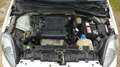 Fiat Punto 1.2 69 Steel Blanc - thumbnail 15