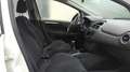 Fiat Punto 1.2 69 Steel Blanc - thumbnail 25