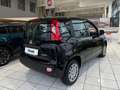 Fiat Panda 4x2 FireFly Hybrid 70 Pandina Schwarz - thumbnail 4