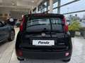Fiat Panda 4x2 FireFly Hybrid 70 Pandina Schwarz - thumbnail 5