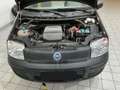 Fiat Panda 1.2 Trekking 4x4 79.300 km certificati Noir - thumbnail 9