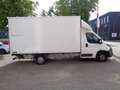 Peugeot Boxer 2.2 HDi Cargo Edition mit Ladebordwand Weiß - thumbnail 3