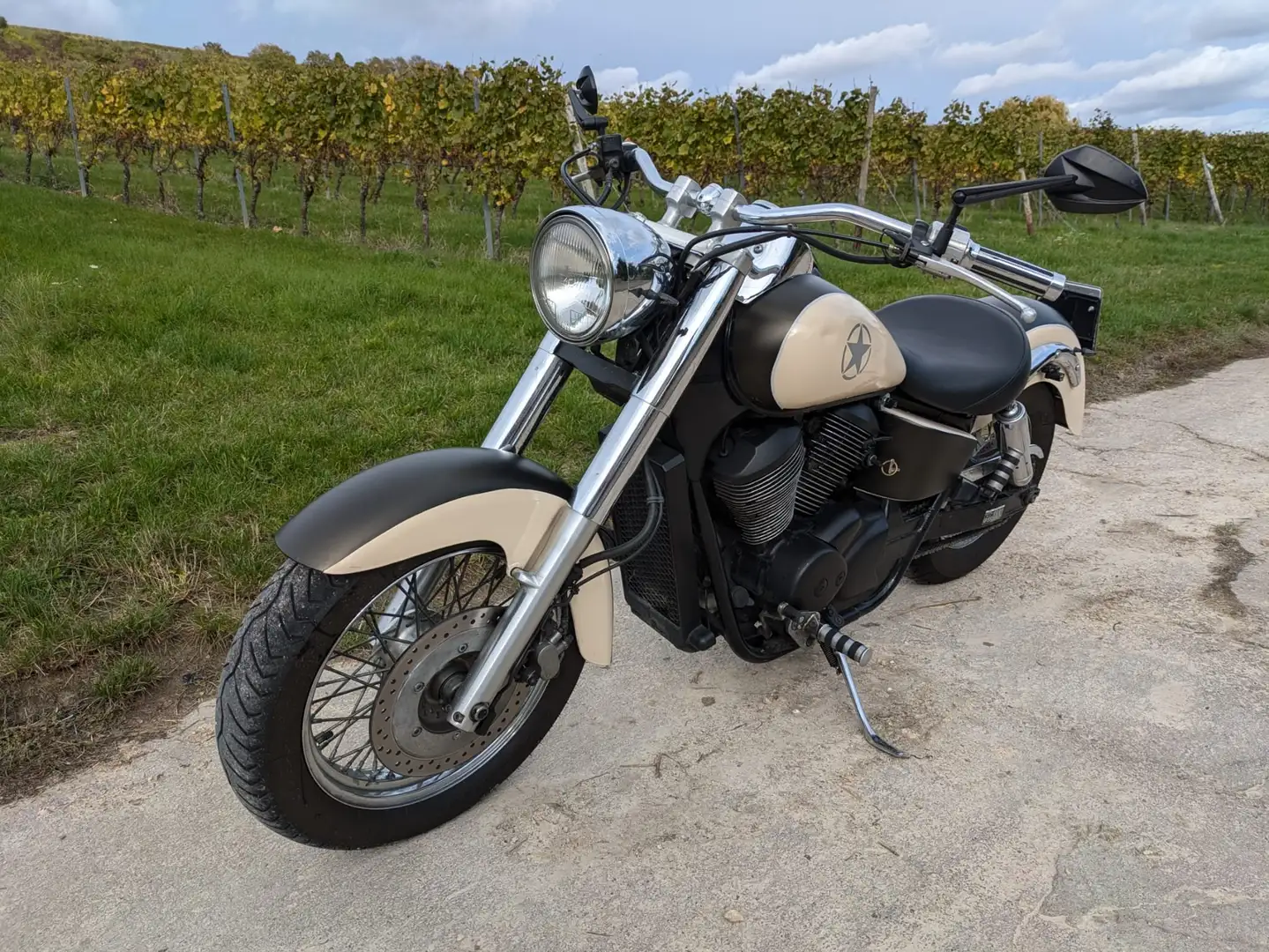Honda VT 750 VT 750 Shadow RC44 Bej - 1