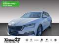 Skoda Scala Ambition 1.0 TSI LED NAVI KLIMA SZH Blanc - thumbnail 1