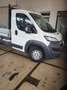 Peugeot Boxer Pick up Blanc - thumbnail 7