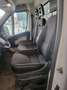 Peugeot Boxer Pick up Blanc - thumbnail 10