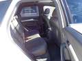 Audi Q5 2.0 TDI 190CV quattro S tronic Business Sport Weiß - thumbnail 9