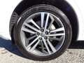 Audi Q5 2.0 TDI 190CV quattro S tronic Business Sport Weiß - thumbnail 12