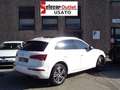 Audi Q5 2.0 TDI 190CV quattro S tronic Business Sport Weiß - thumbnail 4
