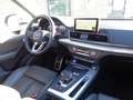 Audi Q5 2.0 TDI 190CV quattro S tronic Business Sport Weiß - thumbnail 6