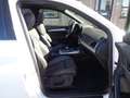 Audi Q5 2.0 TDI 190CV quattro S tronic Business Sport Weiß - thumbnail 8