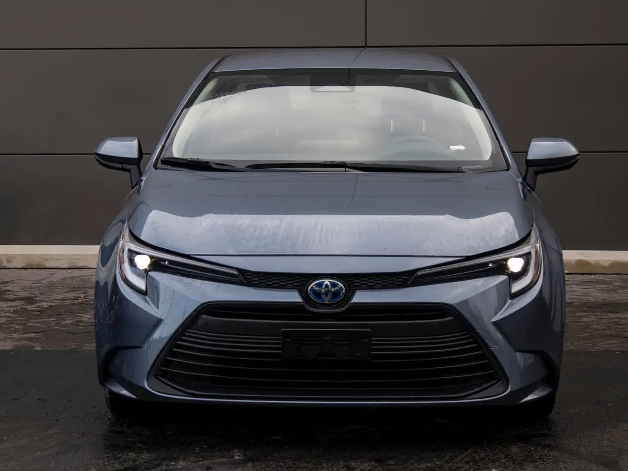 Toyota Corolla photo Toyota Corolla