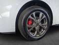 Ford Kuga 2.5 Duratec PHEV ST-LINE Blanco - thumbnail 6