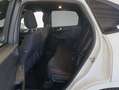 Ford Kuga 2.5 Duratec PHEV ST-LINE Blanc - thumbnail 8