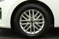 Kia Rio 1.0 TGDI DynamicLine | Navigatie | Parkeer Camera Wit - thumbnail 32
