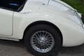 MG MGA MK2 Blanc - thumbnail 6