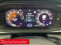 CUPRA Terramar 2.0 TSI DSG VZ AHK TOP-VIEW HEAD-UP 20 Schwarz - thumbnail 14