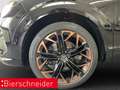 CUPRA Terramar 2.0 TSI DSG VZ AHK TOP-VIEW HEAD-UP 20 Schwarz - thumbnail 25