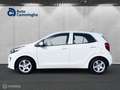 Kia Picanto 1.0 DPi ComfortLine Bianco - thumbnail 2