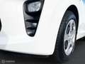 Kia Picanto 1.0 DPi ComfortLine Bianco - thumbnail 14
