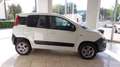 Fiat Panda 1.3 mjt 16v 4x4 + Iva Bianco - thumbnail 2