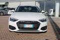 Audi A4 A4 Avant 30 2.0 tdi mhev Business 136cv s-tronic Bianco - thumbnail 5