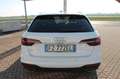 Audi A4 A4 Avant 30 2.0 tdi mhev Business 136cv s-tronic Bianco - thumbnail 3