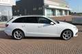 Audi A4 A4 Avant 30 2.0 tdi mhev Business 136cv s-tronic Bianco - thumbnail 4