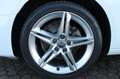 Audi A4 A4 Avant 30 2.0 tdi mhev Business 136cv s-tronic Bianco - thumbnail 6