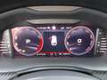 Skoda Scala 1.5 TSI DSG  Monte Carlo mit vielen Extras Blau - thumbnail 15
