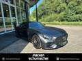 Mercedes-Benz AMG GT AMG GT C Edition50+Keramik+Distronic+Pano+Memory Grey - thumbnail 3