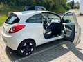 Ford Ka/Ka+ Ka 1.2 Start-Stopp-System Titanium - thumbnail 3
