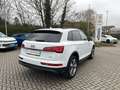 Audi Q5 40 TDI quattro advanced Weiß - thumbnail 3