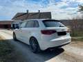 Audi A3 A3 5p 1.6 Ambiente Bianco - thumbnail 7