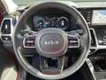 Kia Sorento 1.6 T-GDi HEV Black Edition 4x2 Rot - thumbnail 14