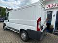 Fiat Ducato 115 2.HAND L1H1 EL.FENSTER+AHK+EURO 5+TÜV:10/26 Weiß - thumbnail 3