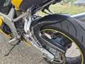 Suzuki GSX-R 750 carbon uitvoering icm met uniek gele kleurstelling Amarillo - thumbnail 7