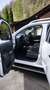 Nissan Pick Up Navara Blanco - thumbnail 12