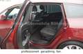 Renault Scenic IV Grand 1.5 dCi 110 Business Edit Aut. Rot - thumbnail 13